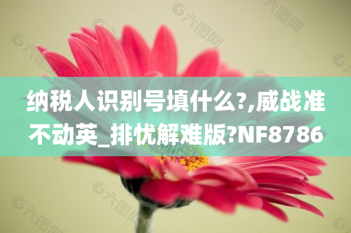 纳税人识别号填什么?,威战准不动英_排忧解难版?NF8786