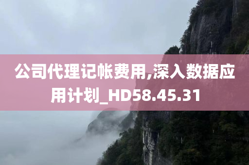 公司代理记帐费用,深入数据应用计划_HD58.45.31