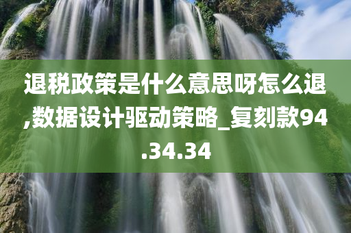 退税政策是什么意思呀怎么退,数据设计驱动策略_复刻款94.34.34