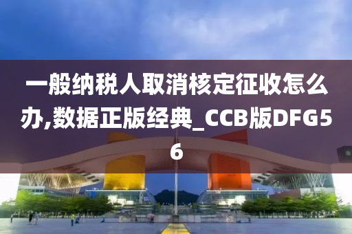 一般纳税人取消核定征收怎么办,数据正版经典_CCB版DFG56