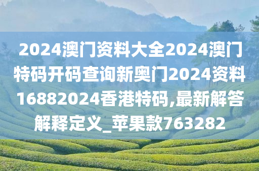 2024澳门资料大全2024澳门特码开码查询新奥门2024资料16882024香港特码,最新解答解释定义_苹果款763282