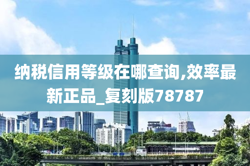 纳税信用等级在哪查询,效率最新正品_复刻版78787