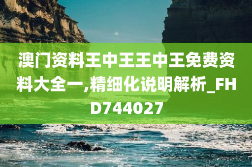 澳门资料王中王王中王免费资料大全一,精细化说明解析_FHD744027