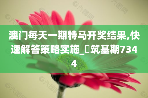 澳门每天一期特马开奖结果,快速解答策略实施_‌筑基期7344