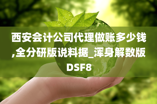 西安会计公司代理做账多少钱,全分研版说料据_浑身解数版DSF8