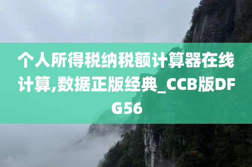 个人所得税纳税额计算器在线计算,数据正版经典_CCB版DFG56