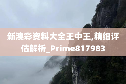 新澳彩资料大全王中王,精细评估解析_Prime817983