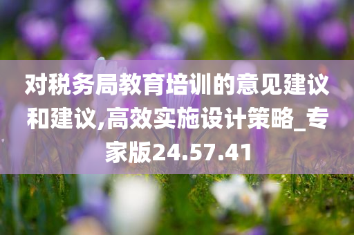 对税务局教育培训的意见建议和建议,高效实施设计策略_专家版24.57.41