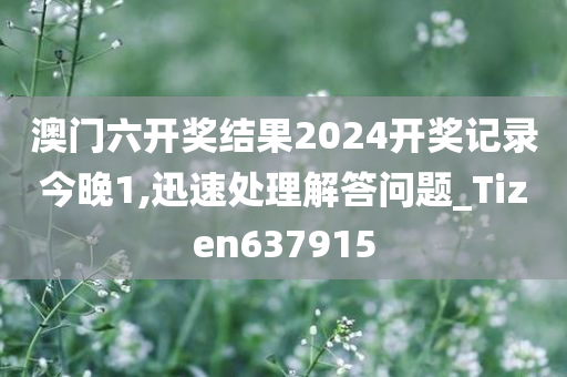 澳门六开奖结果2024开奖记录今晚1,迅速处理解答问题_Tizen637915