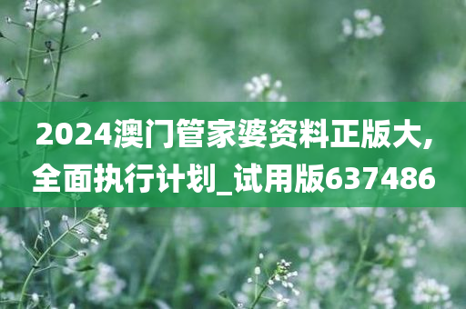 2024澳门管家婆资料正版大,全面执行计划_试用版637486