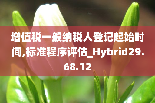 增值税一般纳税人登记起始时间,标准程序评估_Hybrid29.68.12