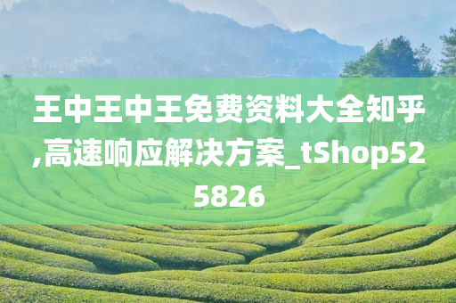 王中王中王免费资料大全知乎,高速响应解决方案_tShop525826