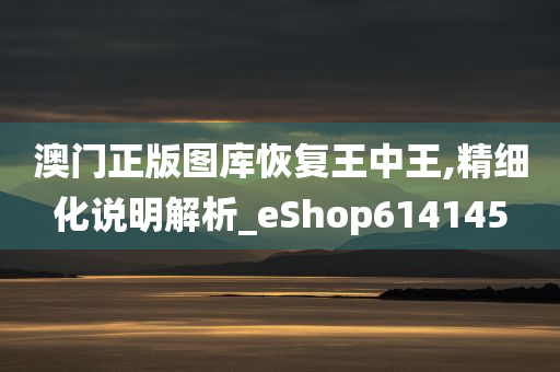 澳门正版图库恢复王中王,精细化说明解析_eShop614145