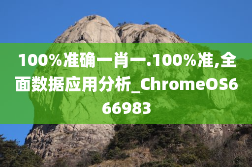 100%准确一肖一.100%准,全面数据应用分析_ChromeOS666983