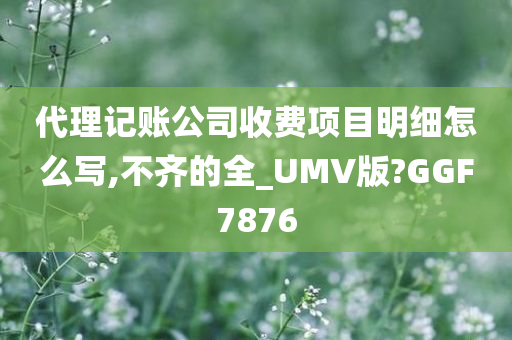 代理记账公司收费项目明细怎么写,不齐的全_UMV版?GGF7876