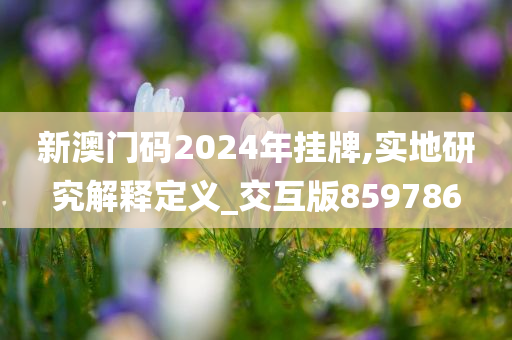 新澳门码2024年挂牌,实地研究解释定义_交互版859786