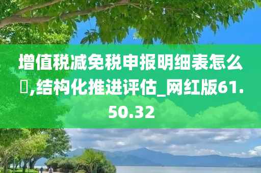 增值税减免税申报明细表怎么塿,结构化推进评估_网红版61.50.32