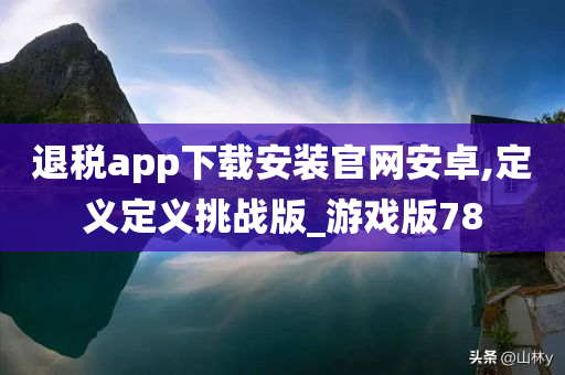 退税app下载安装官网安卓,定义定义挑战版_游戏版78