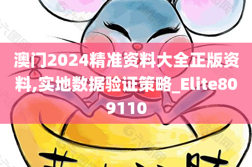 澳门2024精准资料大全正版资料,实地数据验证策略_Elite809110