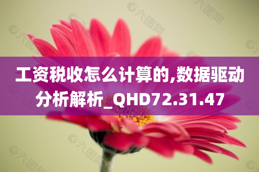 工资税收怎么计算的,数据驱动分析解析_QHD72.31.47