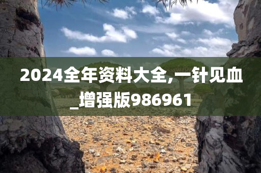 2024全年资料大全,一针见血_增强版986961