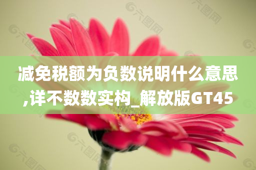 减免税额为负数说明什么意思,详不数数实构_解放版GT45