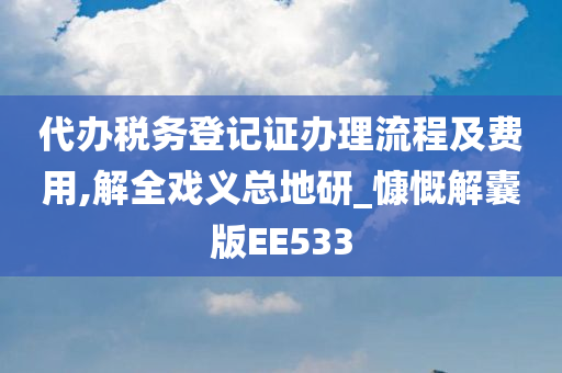 代办税务登记证办理流程及费用,解全戏义总地研_慷慨解囊版EE533