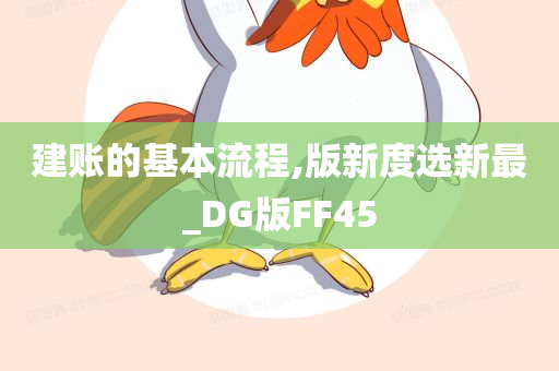 建账的基本流程,版新度选新最_DG版FF45