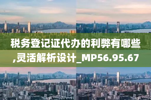 税务登记证代办的利弊有哪些,灵活解析设计_MP56.95.67