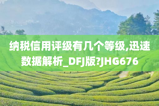 纳税信用评级有几个等级,迅速数据解析_DFJ版?JHG676