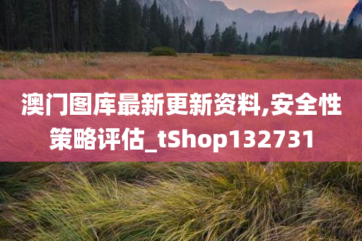 澳门图库最新更新资料,安全性策略评估_tShop132731