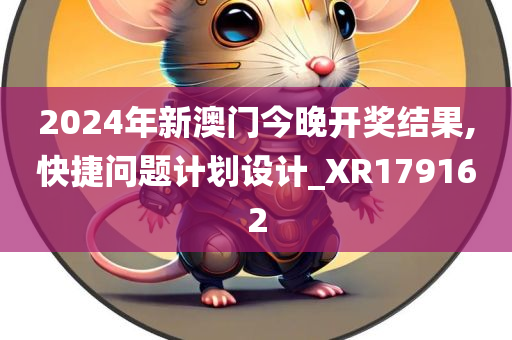 2024年新澳门今晚开奖结果,快捷问题计划设计_XR179162