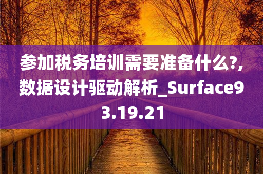 参加税务培训需要准备什么?,数据设计驱动解析_Surface93.19.21