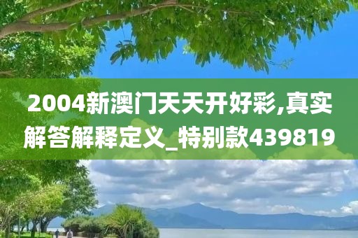 2004新澳门天天开好彩,真实解答解释定义_特别款439819