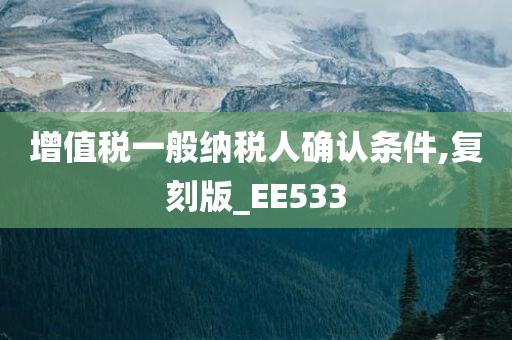 增值税一般纳税人确认条件,复刻版_EE533