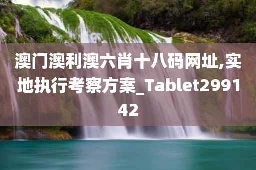 澳门澳利澳六肖十八码网址,实地执行考察方案_Tablet299142