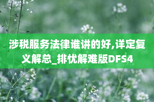 涉税服务法律谁讲的好,详定复义解总_排忧解难版DFS4