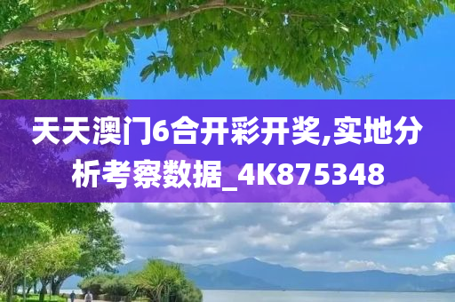 天天澳门6合开彩开奖,实地分析考察数据_4K875348