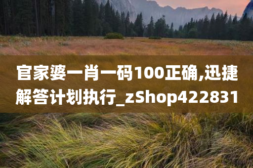 官家婆一肖一码100正确,迅捷解答计划执行_zShop422831