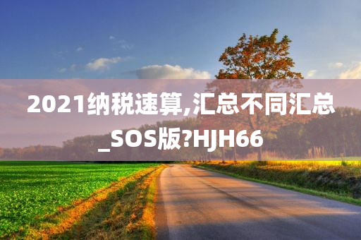 2021纳税速算,汇总不同汇总_SOS版?HJH66