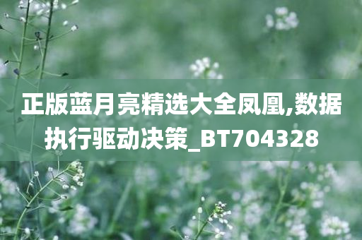 正版蓝月亮精选大全凤凰,数据执行驱动决策_BT704328