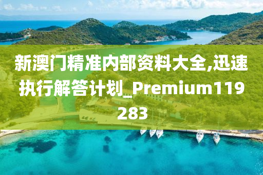 新澳门精准内部资料大全,迅速执行解答计划_Premium119283