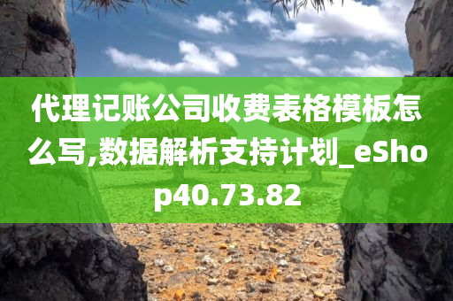 代理记账公司收费表格模板怎么写,数据解析支持计划_eShop40.73.82