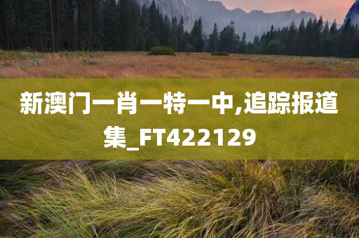 新澳门一肖一特一中,追踪报道集_FT422129