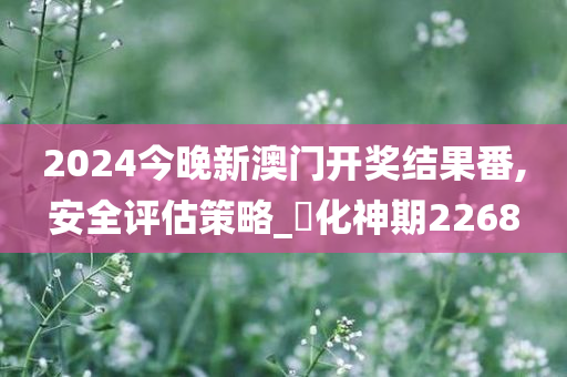 2024今晚新澳门开奖结果番,安全评估策略_‌化神期2268