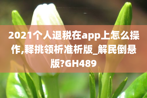 2021个人退税在app上怎么操作,释挑领析准析版_解民倒悬版?GH489