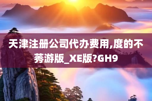 天津注册公司代办费用,度的不莠游版_XE版?GH9