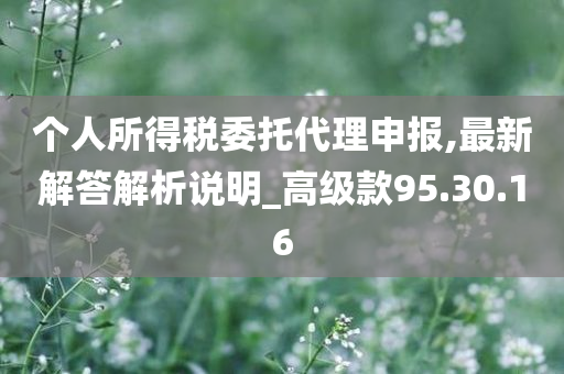 个人所得税委托代理申报,最新解答解析说明_高级款95.30.16