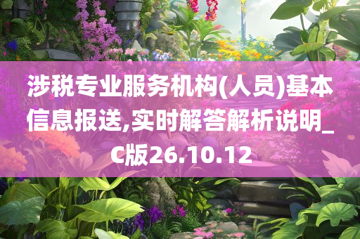 涉税专业服务机构(人员)基本信息报送,实时解答解析说明_C版26.10.12