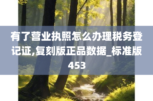 有了营业执照怎么办理税务登记证,复刻版正品数据_标准版453